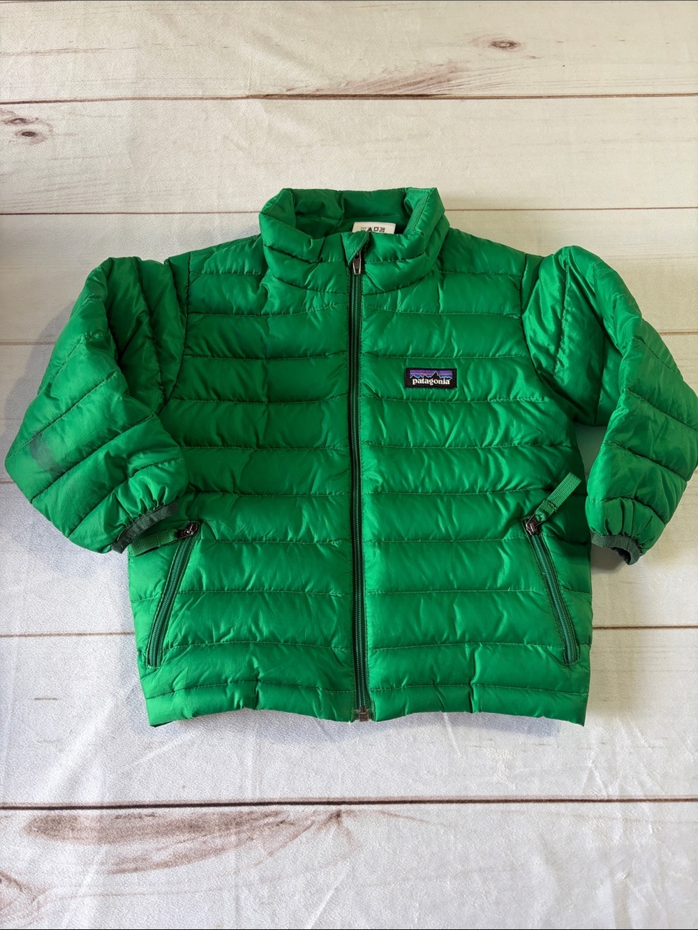 Patagonia Kids Green Down Puffer Jacket with Blue Lining